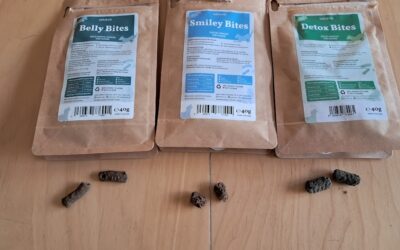 Funktionale Snacks für Hunde – Was sie können und was nicht