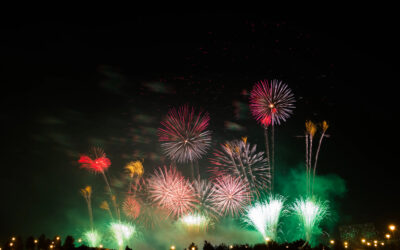 Silvesterangst bei Tieren – wie du deinem Vierbeiner entspannt durch die Knallerei hilfst